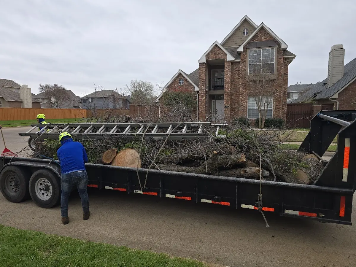 Expert Crown Reduction with proper safety equipment in Lakeville